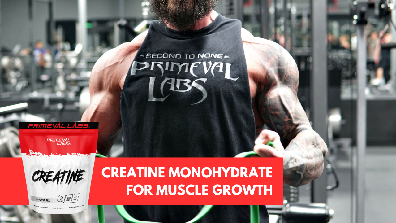 Creatine monohydrate powder for muscle growth