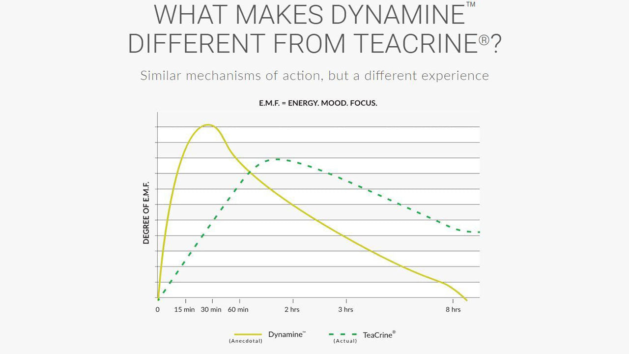 Dynamine: The Full Breakdown
