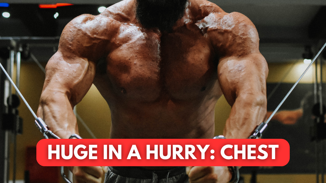Huge in a Hurry 30 Minute Chest Workout Primeval Labs