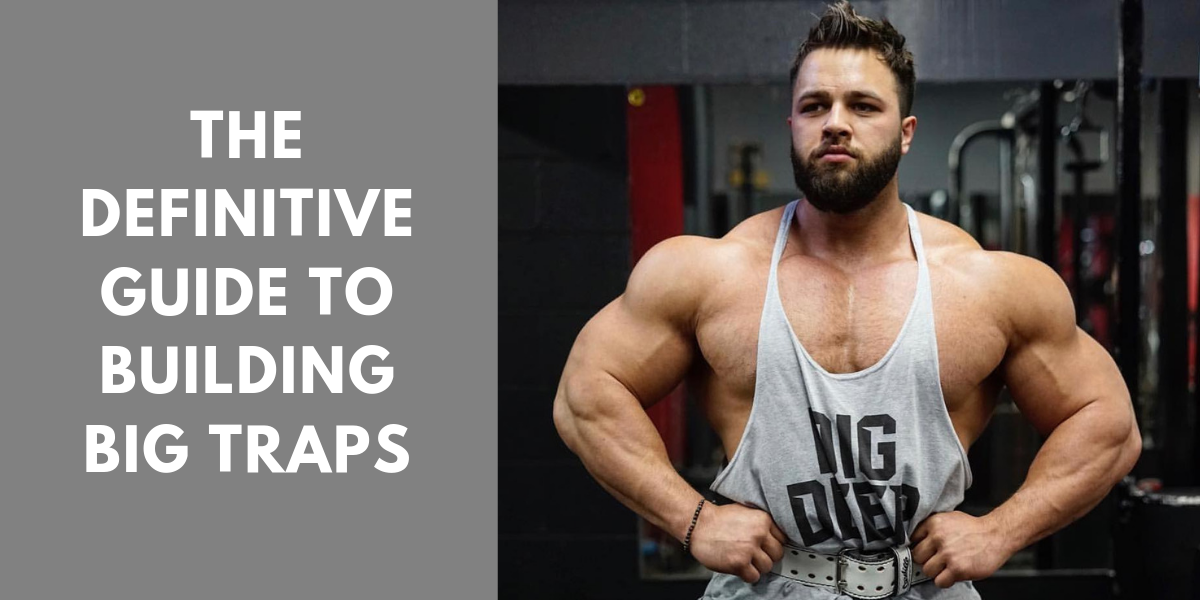 Best Traps Workout to Grow Your Trapezius Muscles Fast! – Transparent Labs