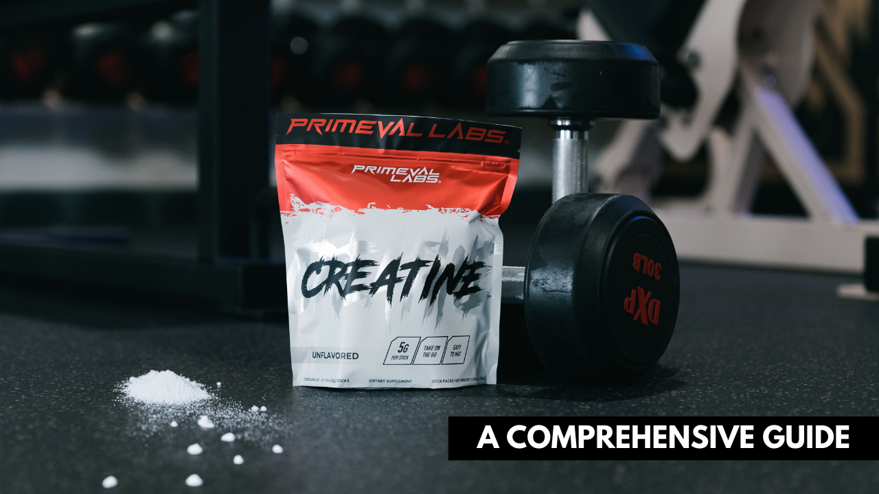 creatine monohydrate supplement a comprehensive guide