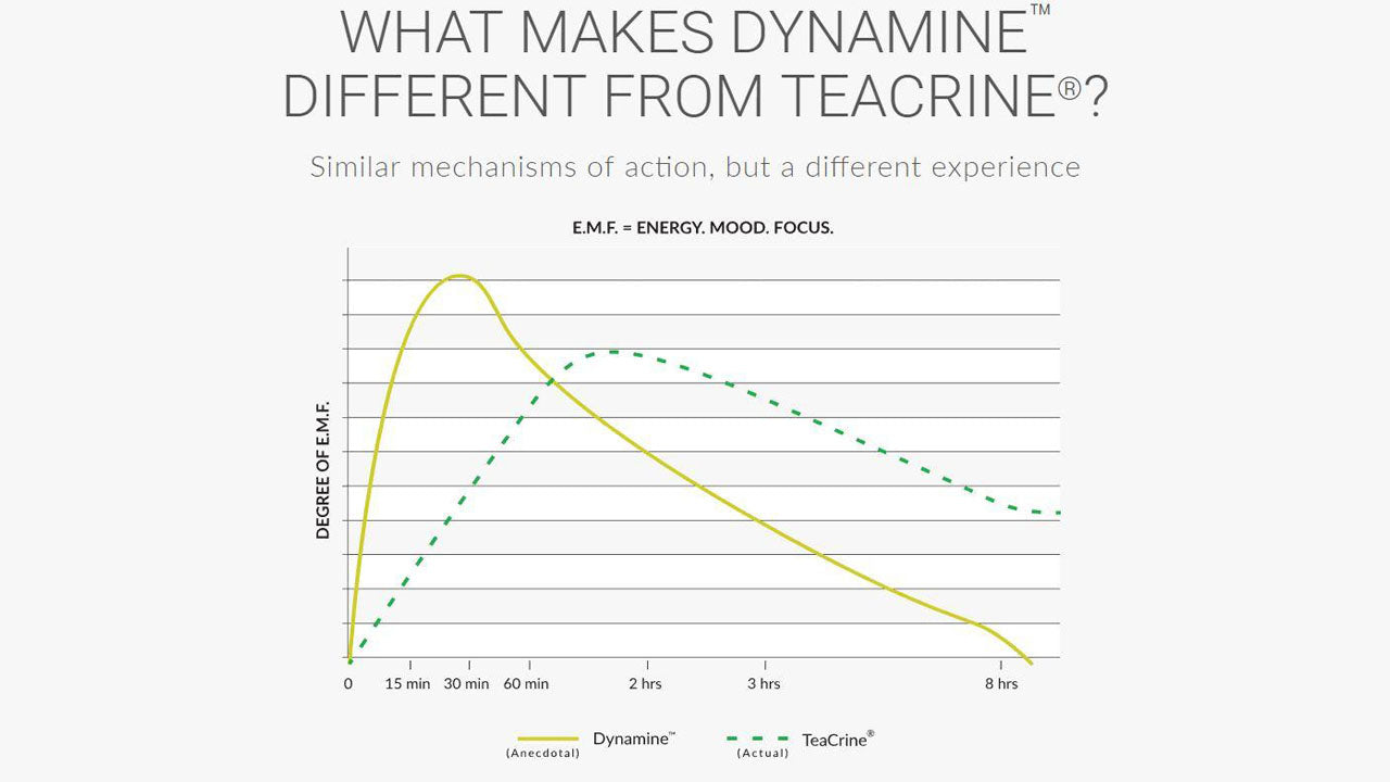 Dynamine: The Full Breakdown