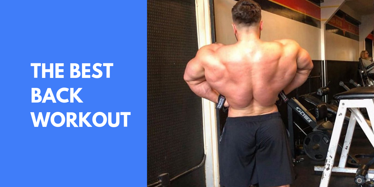 The Best Back Workout