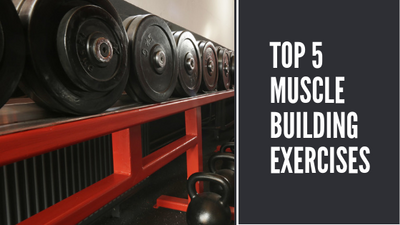 The Top 5 Muscle Building Exercises