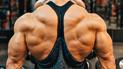 The Best Lat Workouts