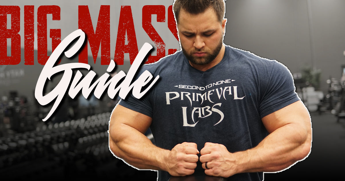 2019 Big Mass Transformation Guide