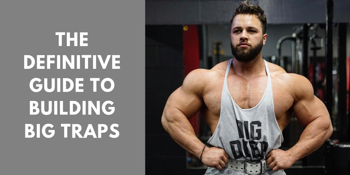 Best workout discount for big traps