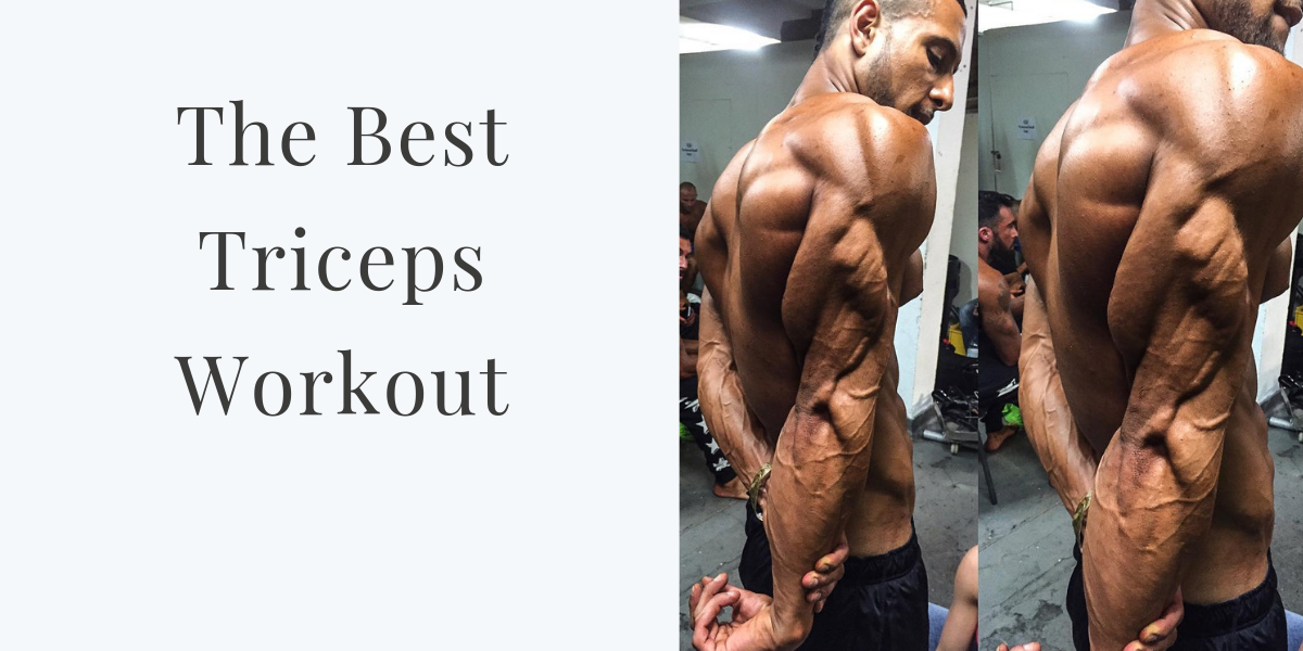 The Best Triceps Workout