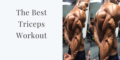 The Best Triceps Workout