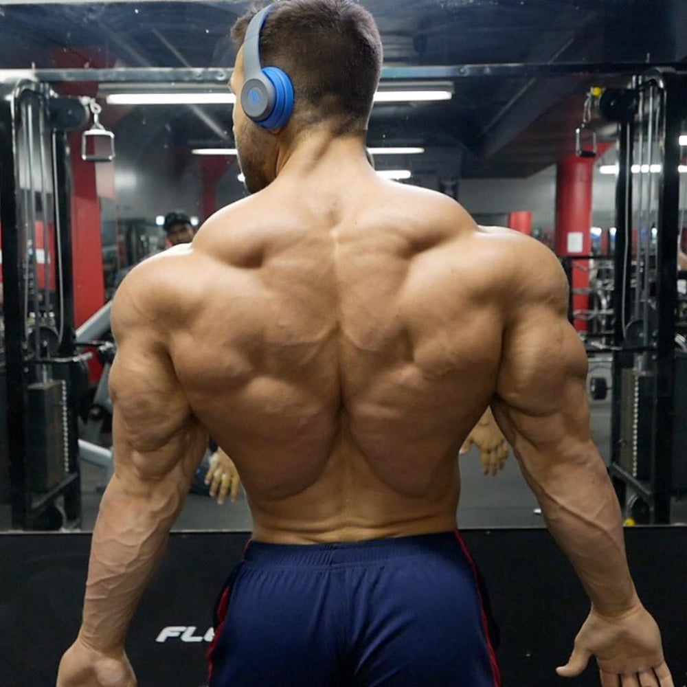 The Best Back Rows: Exercises for Mass | Primeval Labs