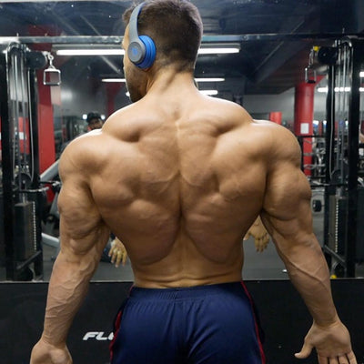 The Best Back Row Exercises for Mass