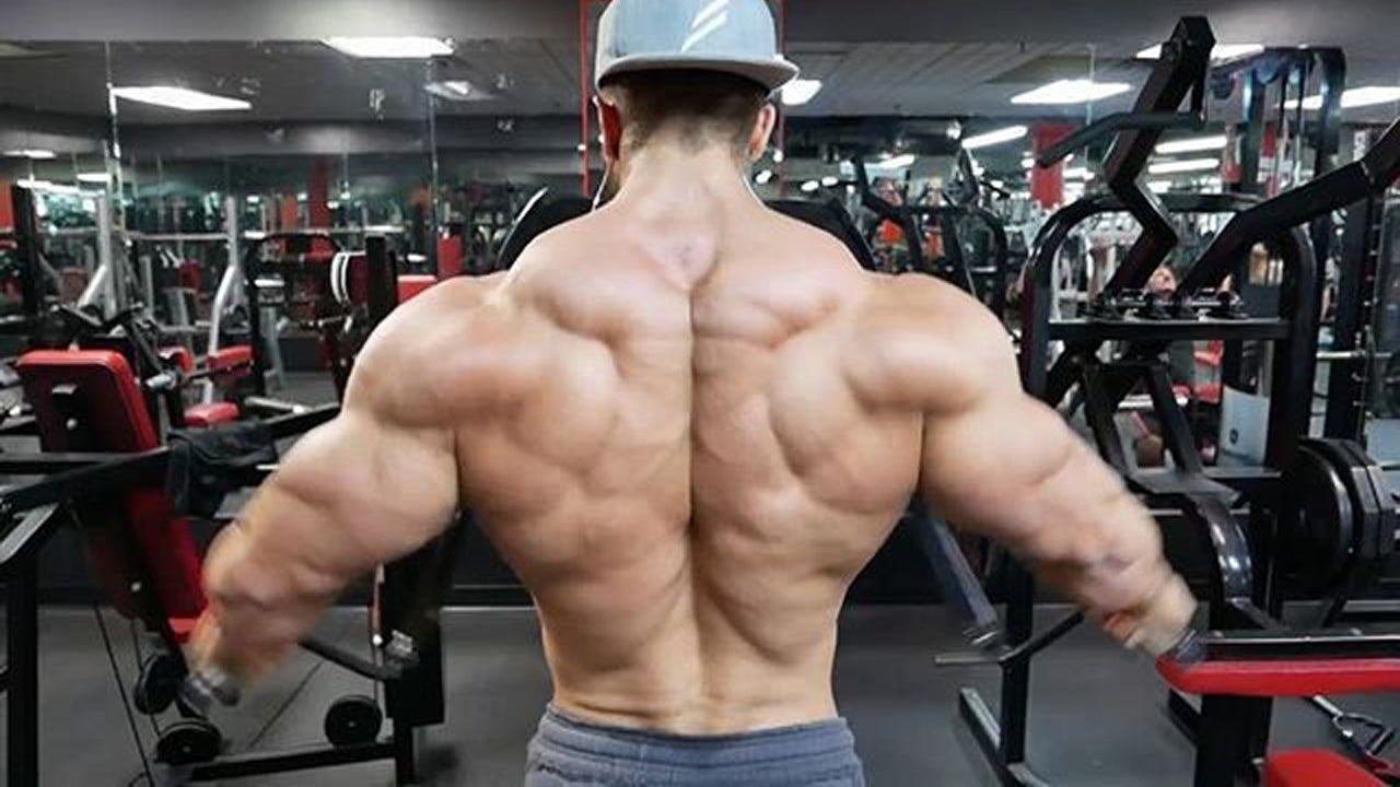 Wide Back Muscles