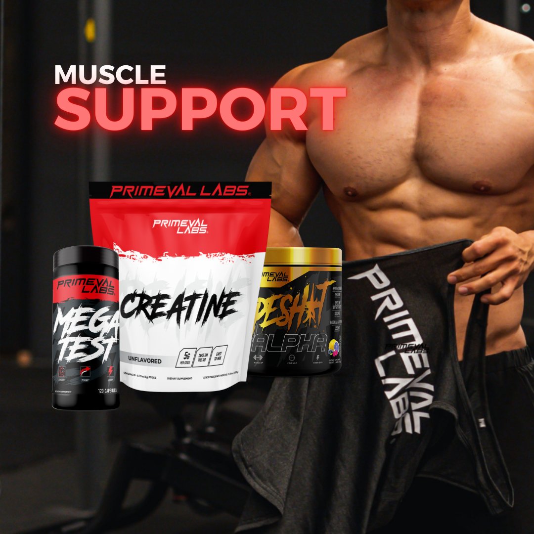 Muscle Support